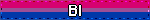 Bisexual